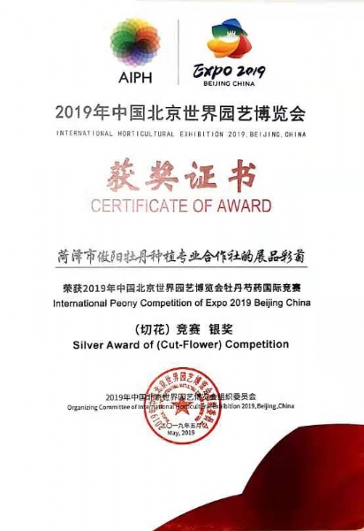 2019年中国北京世界园艺博览会获奖证书彩菊（切花）竞赛 银奖