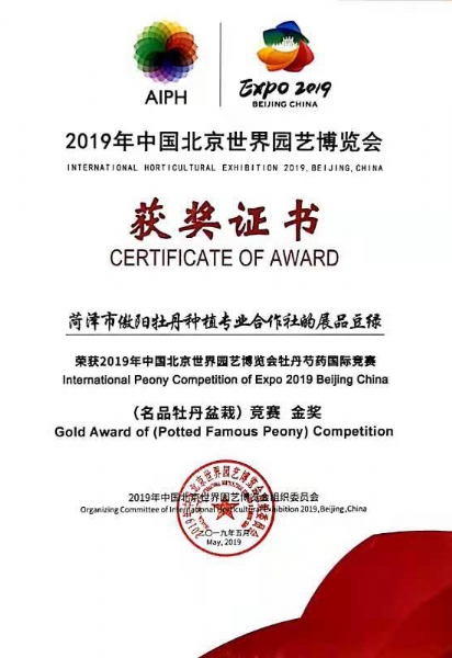 2019年中国北京世界园艺博览会获奖证书豆绿（名品牡丹盆栽）竞赛 金奖