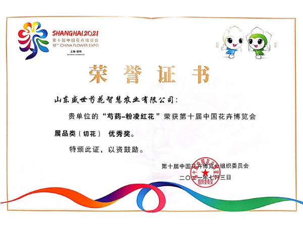 2021年第十届中国花卉博览会获奖证书芍药-粉凌红花展品类（切花）优 秀奖