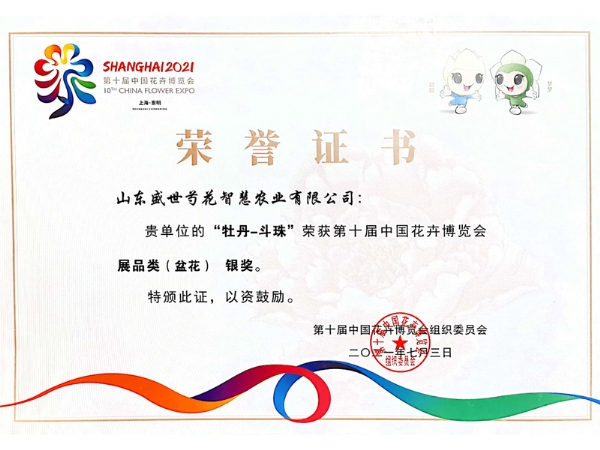 2021年第十届中国花卉博览会获奖证书牡丹-斗珠展品类（盆花）银奖
